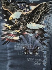 The Mountain Mens T-Shirt Evolution Blue Eagle Talon Flag Retired Logo XL #5286