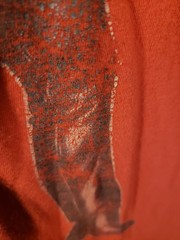 Tom of Finland Red Tshirt Gay Large