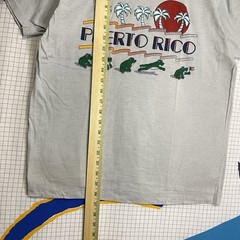Vintage 70s Frogs Puerto Rico Tshirt Large Flag Sunset Retro Beach Single Stitch