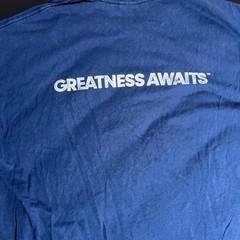 PLAYSTATION 4 PS4 GREATNESS AWAITS Men’s Promo Tee Size XL Navy Blue Game Stop