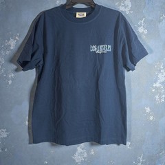 Pacsun Pacific Sunwear T-Shirt Men’s Small Blue Graphic NWT