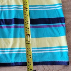 Champion Men’s M Striped T-Shirt Retro Surf Skate Coastal Cotton NWT Blue Yellow