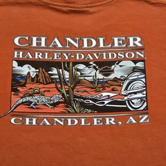 Vintage Harley Davidson 2005 Chandler, AZ Arizona Men’s Meduim