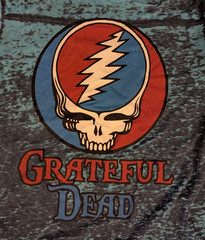 Grateful Dead 50th Anniversary Steal Your Face Blue Tie-Dye T-Shirt Large 2015