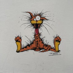 Vintage 80s Stedman Shirt Mens XL White Bill The Cat Bloom County Graphic Tee