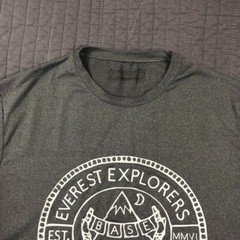 Avalanche Everest T Shirt Men Medium Gray Base Camp Graphic Hiking Big Foot