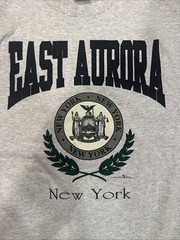 Vintage 1992 Hanes East Aurora New York Tshirt XL USA Single Stitch