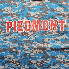 Augusta Sportswear Men’s XL Blue Piedmont Printed T-Shirt