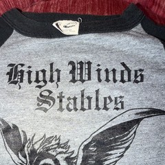 Pennsylvania Horseback riding stables rare vintage T-Shirt Crew Neck S original