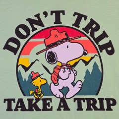 Peanuts® Hiking Snoopy t shirt Men Large Green Charlie Brown Classic Camping NWT