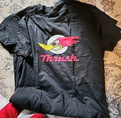 Graphic T-Shirt THRUSH Bird Muffler Black Size XL