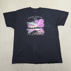 Aurora Borealis Alaska Shirt Mens 2XL Black Northern Lights Fruit of the Loom