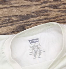 Levi’s Big Girls Oversized Cloud Dye T-Shirt Tee 41M679F Celadon Green Multi L