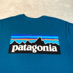 Patagonia Responsibili T Shirt Mens Small Blue Straight Hem Regular Fit Crewneck