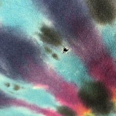 VTG Rockin Reggaid Woodlawn Field Bloomington IN Pink Floyd Tribute Tye Die USA