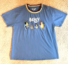 BLUEY Short Sleeve T SHIRT Bandit Bingo Bluey Chilli Embroidered BOX LUNCH Large