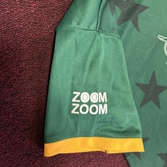 Men’s T20 ICC World Cup Cricket 2012 Pakistan Jersey size XL