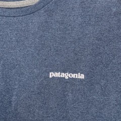Patagonia Men’s Blue Short Sleeve Crew Neck Graphic Logo Back Of Tee XL