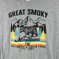 Great Smoky Mountains National Park Gray Tee Multi Neon Color Bear Graphic
