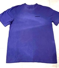 Patagonia Men’s Casual Crew Neck T-Shirt Short Sleeve, Size Medium , Blue
