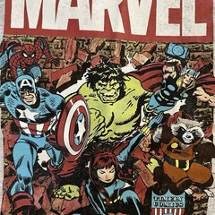Marvel Comics Graphic Gray Men’s Short Sleeve Tee Size Large