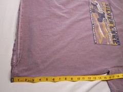 Gildan Ultra Cotton Purple Silver Lake Sand Dunes Michigan Graphic Tee Men’s XL