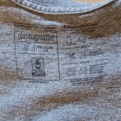 Patagonia Men’s L Gray Long Sleeve Crew Neck Graphic Logo T-Shirt