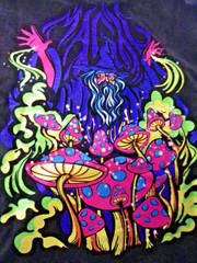 ALAB Magic Wizard Mushroom Psychedelic Men’s Graphic T-Shirt Size Medium