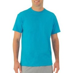 Fruit of the Loom Big Men’s Crew Cotton Short Sleeve Tee Shirt 2XL 3XL 4XL NWT