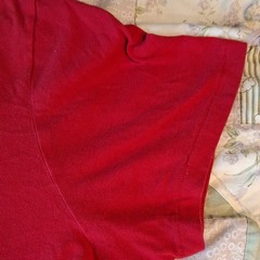 Aéropostale Men’s Single Stitch Pacific Northwest Nature Graphic Tee Size L