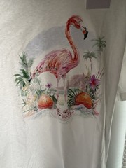 Jordan Men’s M White Jumpman Logo Flamingo Graphic Crew Neck Short Sleeve Tee