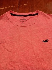 Hollister Men’s Salmon Must Have Collection Curved Hem T-shirt Size Large