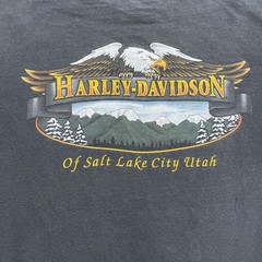 Vintage Harley Davidson Eagle & Wolf Fearless and Proud Logo XL Salt Lake City