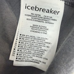 Icebreaker Merino Wool Graphic T Shirt Gray Size M Men’s Cycling Running Base