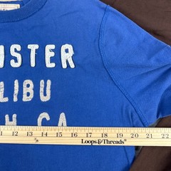 Hollister Mens Long Sleeve T-Shirt 2 Pack Blue Brown Malibu Laguna Graphic L
