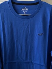Hollister Men’s Medium Size Blue Long Sleeve Cotton Solid Graphic Tee