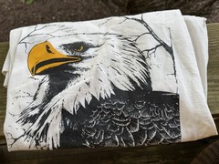 Vintage 90s Anvil eagle Alaska graphic single stitch cream tshirt XL gorpcore