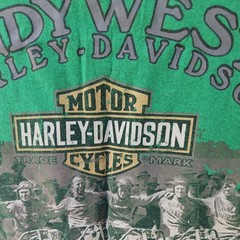 OFFICIAL HARLEY DAVIDSON T Shirt Heather Green Large Indywest Plainfield Indiana
