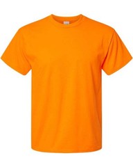 Hanes 5280 Unisex Essential- T-Shirt