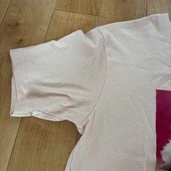 Uniqlo Cat Photography T-Shirt Pink Relaxed Fit Waterproof Condition Size M New