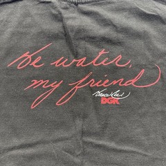 Bruce Lee x DGK Be Water My Friend Official Collab Skate Streetwear mens Medium
