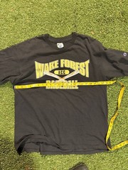 Vintage 90s Champion Wake Forest University ACC Baseball Single Stitch T-Shirt