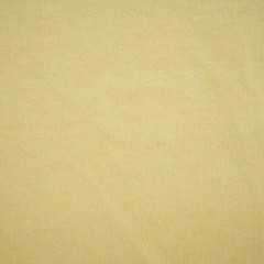 Alstyle Apparel 2011 ASA Gold National Championship San Diego Graphic Tee 2XL