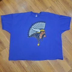 Men’s 6X Graphic T Shirt Viking Warrior Horn Helmet Big & Tall Purple Yellow BLK