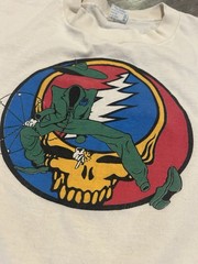 Grateful Dead Dead on the Rocks High in the Downs Colorado T-Shirt Mens L 1983