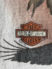 Vintage 2001 Harley Davidson Concord NC, Eagles T Shirt 2XL USA