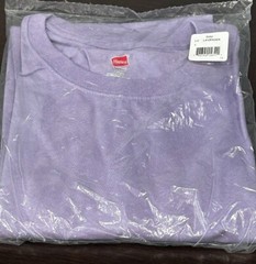 Hanes Tagless 100% Preshrunk Cotton Men’s Size Large Tee Shirts Many Colors