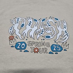 EUC Sz LARGE Phish Deep Woods Spring Tour 2025 T-Shirt 2 Sided Graphic Tee Adult