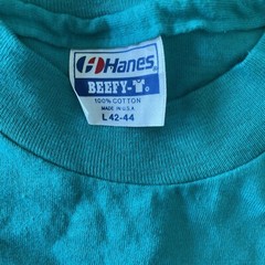 Vtg 80s Hanes Beefy-T Mens Green Large Single Stitch USA Tshirt Kindness 90s