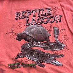 Vintage Weight Men’s Graphic Tee Lot UAW-GM Fitness/Reptile M XL made in USA